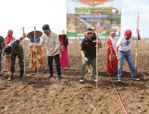 Implementasi Program Serasi Capai 250 Ribu Hektare