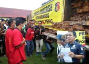 Pakai Dokumen “Aspal’, 8 Truk Kayu Ilegal Diamankan