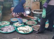 Ikan Tambak Nila Tembus Rp45 Ribu 25 Ikan Tambak Nila Tembus Rp45 Ribu