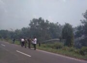 Lahan di Depan Kantor Bupati Pulpis Terbakar 24 Lahan di Depan Kantor Bupati Pulpis Terbakar