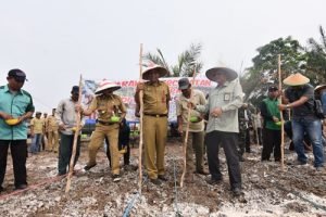 Banjar Gelorakan Gerakan Percepatan Tanam Padi