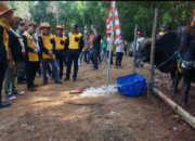 Pemkab Tapin Rencanakan Bangun Pasar Induk Hewan 10 Pemkab Tapin Rencanakan Bangun Pasar Induk Hewan