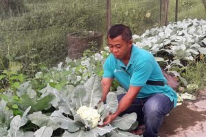 Pertamina Gandeng Karang Taruna Kelola Ekowisata 32 Pertamina Gandeng Karang Taruna Kelola Ekowisata