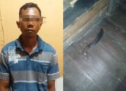 Pria di HST Tega Habisi Nyawa Tetangganya 28 Pria di HST Tega Habisi Nyawa Tetangganya