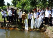 Bupati Inginkan Setiap Desa Di Tapin Ada Inovasi