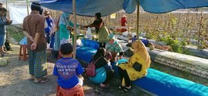 Banjarbaru Tawarkan Agrowisata Melon