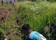 Api Lahan Terbakar Dekat Bandara Sempat Membesar
