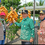 Lensa Tapin Screenshot 2020 09 11 15 43 54 70 0