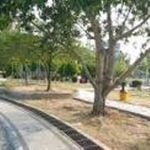 hAL 10 4 kLM Taman kamboja