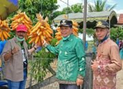 Tapin  Panen Raya Perdana Jagung Hibrida