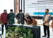 Sayed Jafar Saksikan Penandatangan MoU<br>PT PLN UIWIL Kalselteng Dengan Qinfa Grup 19 Sayed Jafar Saksikan Penandatangan MoUPT PLN UIWIL Kalselteng Dengan Qinfa Grup