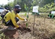 Sekda Bersama Masyarakat Tanah Ribuan Bibit Pohon