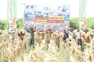 Berlabel KATUJUProduksi Para Petani Tala Gunakan Benih Sendiri