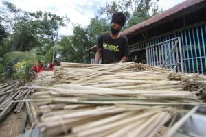 Bambu Produk Hasil Hutan Bukan Kayu yang Menjanjikan