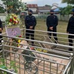 874140C8 B009 4E32 B834 6F5DF23BCCB3