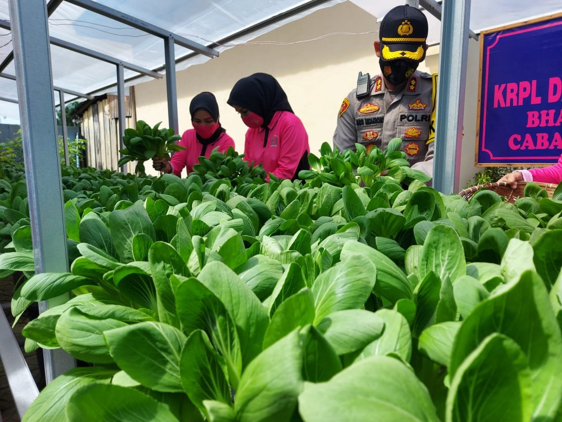 BD3E2245 11D5 4E98 A227 AB12AF61779A