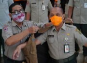 Pensiun, BPBD Angkat Gazi Akhmadi Jadi Sesepuh