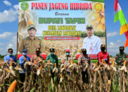 Profil Hari Jadi Kabupaten Tapin ke 55