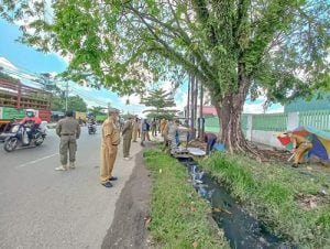 Camat Lianganggang Tertibkan PKL Dijalur Hijau