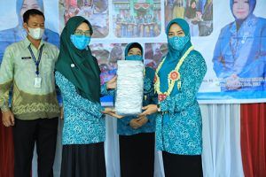 Pj Ketua PKK Kalsel Apresiasi Upaya Pemkab HSU Turunkan Stunting