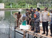 Hasil Tambak di Kotabaru Masih Sangat Rendah