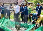 Bupati Canangkan Kampung Budidaya Ikan Papuyu