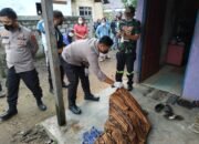 Ditemukan Tak Bernyawa Royani Sempat Minum Obat Jantung