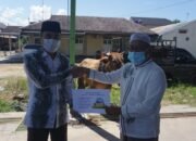 Sandiaga Serahkan Hewan Qurban Untuk Warga Sekumpul 20 Sandiaga Serahkan Hewan Qurban Untuk Warga Sekumpul