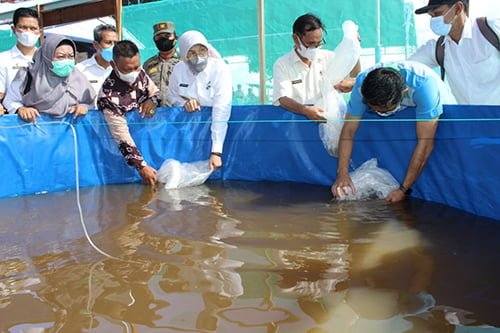 hal 11 Batola 4 klm 1