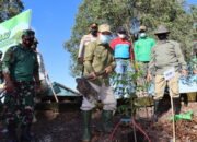 Bupati Tapin Hijaukan Bantaran Sungai Desa Hiyung