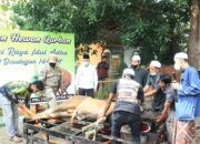 Bupati HSU Saksikan Penyembelihan Hewan Kurban