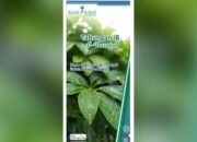 Keren, Tabungan iB Al-Barakah dari Bank Kalsel Syariah