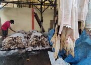 Dibeli Pengumpul, Kulit Kambing Diolah Jadi Berbagai Produk 28 Dibeli Pengumpul, Kulit Kambing Diolah Jadi Berbagai Produk