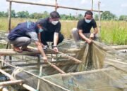 Bang Dhin Didoakan Jadi Pemimpin Daerah 34 Bang Dhin Didoakan Jadi Pemimpin Daerah