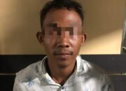 Pria Pelaku KDRT Dibekuk Petugas