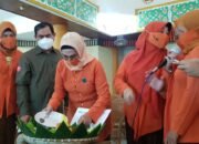 HUT IKWI ke 60 Digelar Secara Virtual, IKWI Kalsel Potong Tumpeng 12 HUT IKWI ke 60 Digelar Secara Virtual, IKWI Kalsel Potong Tumpeng