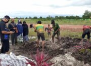 Kadinkes Nilai Petugas Makam Tak Perlu APD 10 Kadinkes Nilai Petugas Makam Tak Perlu APD