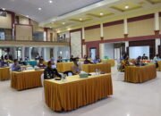 Petakan Penjabat Profesional Dengan Uji Kompetensi JPT Pratama