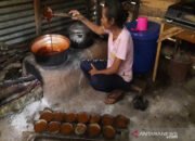 Akademisi Kaji Potensi Gula Aren Kotabaru 14 Akademisi Kaji Potensi Gula Aren Kotabaru