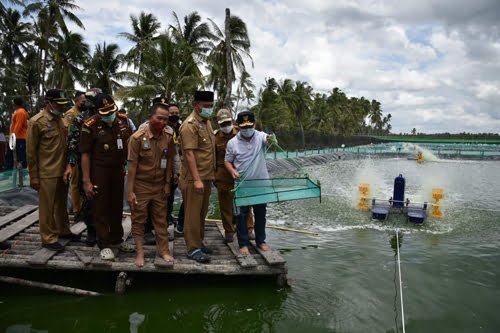 15 Kalteng 3 Gubernur Kalteng H Sugianto Sabran saat berada di tambak udang