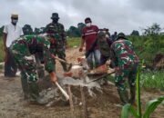 Semangat Gotong Royong TNI-Rakyat Sukses TMMD ke-112 Kodim 1002/HST 33 Semangat Gotong Royong TNI-Rakyat Sukses TMMD ke-112 Kodim 1002/HST