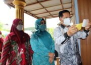 Bupati Tapin Canangkan DeSa Adminduk Desa Jingah Babaris