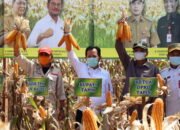 Panen Raya Nusantara Jagung Hasilkan Dua Ribu Ton