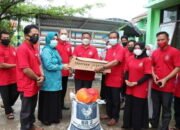 Generasi Melenial Pelihara Ayam Sehat