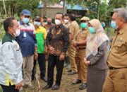 Sektor Pertanian Berpotensi Tingkatkan Pendapatan Masyarakat