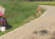 Wujudkan Impian Warga Desa Rantau Keminting Melalui Perbaikan Jalan TMMD Kodim HST 23 Wujudkan Impian Warga Desa Rantau Keminting Melalui Perbaikan Jalan TMMD Kodim HST