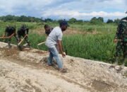 Cuaca Panas, Satgas TMMD Kodim HST Keluarkan Tenaga Maksimal 21 Cuaca Panas, Satgas TMMD Kodim HST Keluarkan Tenaga Maksimal