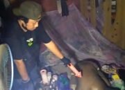 Seorang Kakek Ditemukan Membusuk 12 Seorang Kakek Ditemukan Membusuk