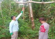 Diduga Putus Cinta, Pemuda Akhiri Hidup di Pohon Karet 15 Diduga Putus Cinta, Pemuda Akhiri Hidup di Pohon Karet