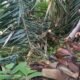 IMG 20211028 WA0044